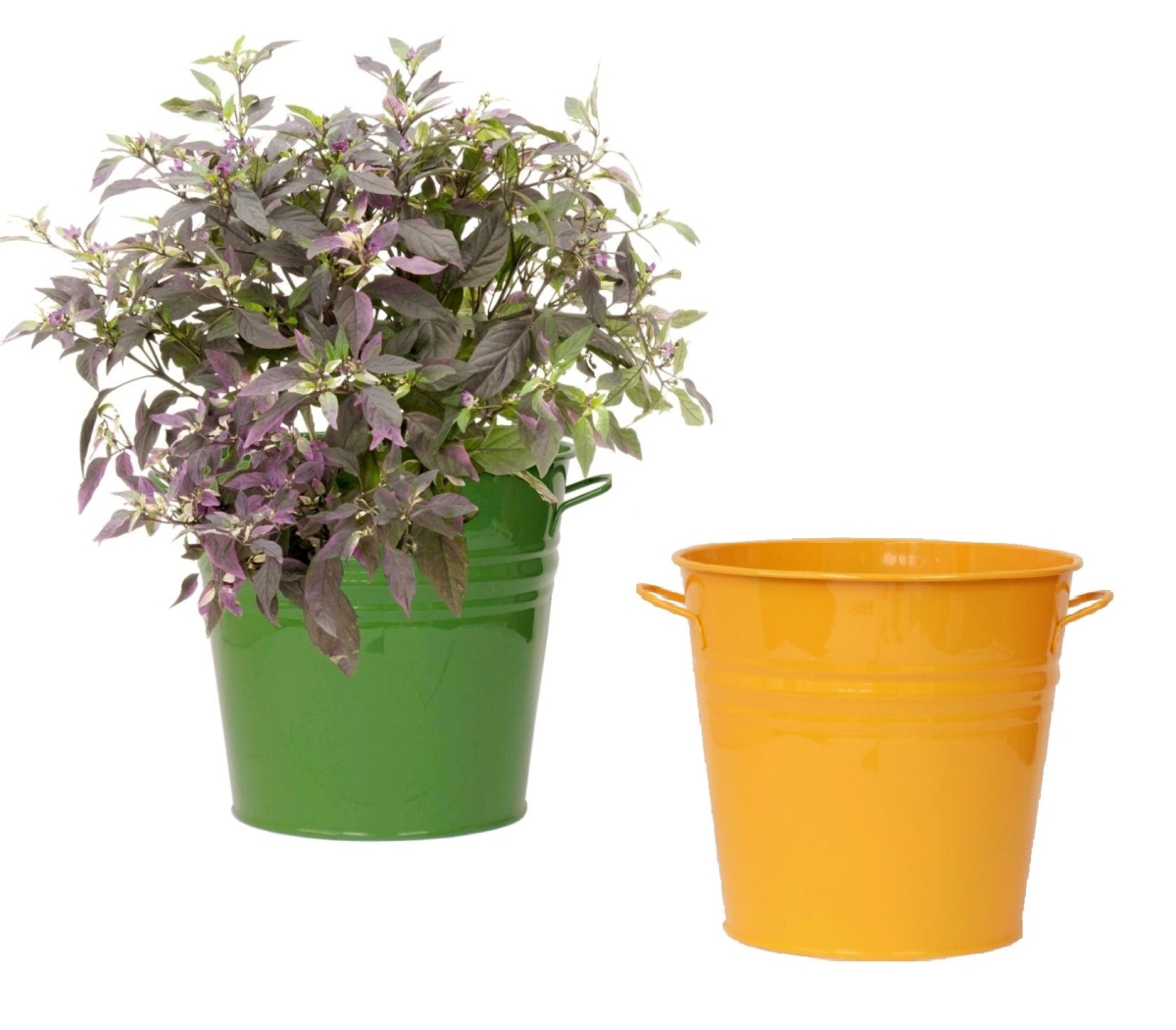8136E SA-SAFF S/2 Enameled Galvanized Steel Planter for 6.5' Plants. Set of Two