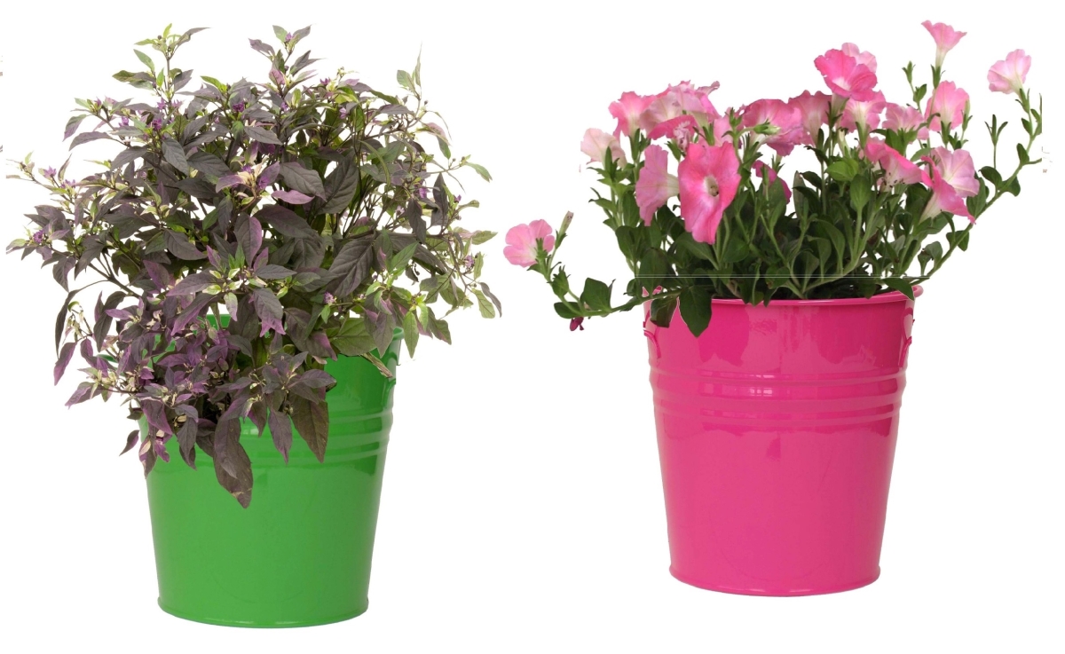 8136E HPK-SA S/2 Enameled Galvanized Steel Planter for 6.5' Plants. Set of Two