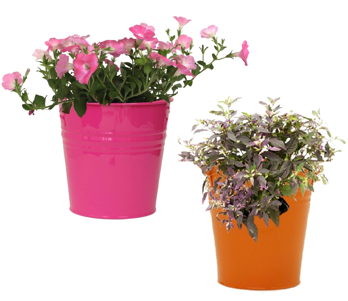 8136E HPK-TA S/2 Enameled Galvanized Steel Planter for 6.5' Plants. Set of Two