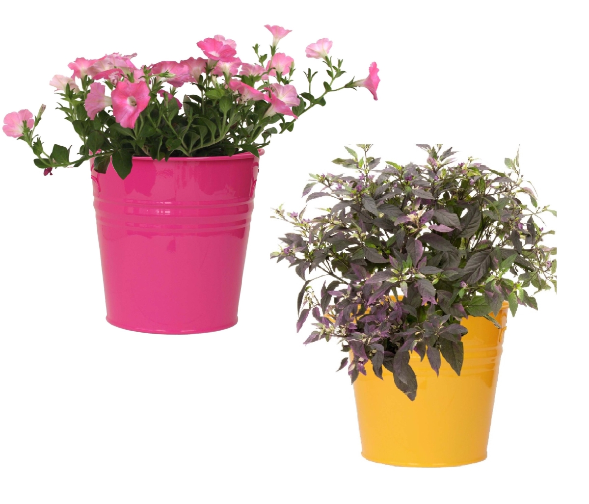 8136E HPK-SAFF S/2 Enameled Galvanized Steel Planter for 6.5' Plants. Set of Two