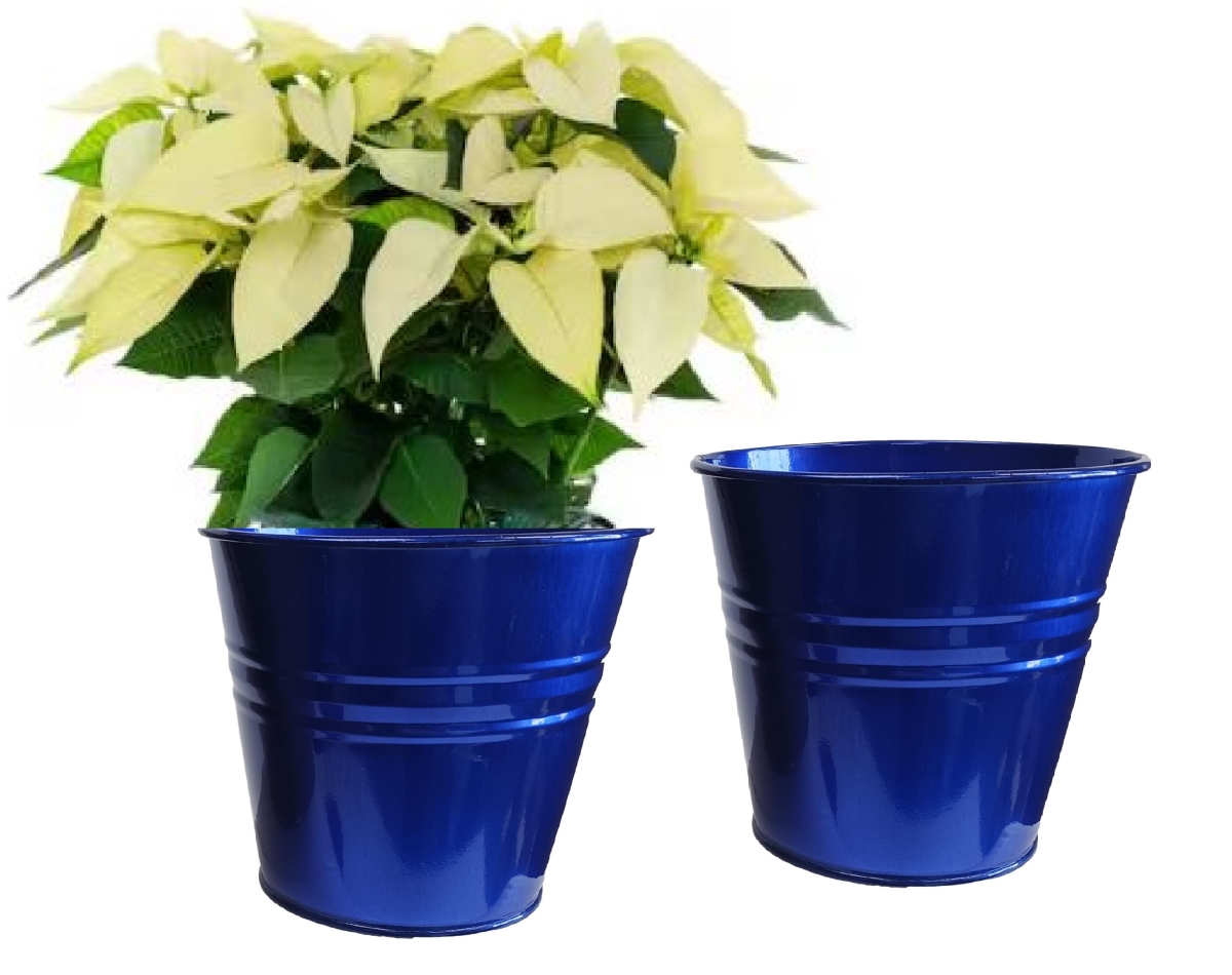 8136E.GB S/2 Enameled Galvanized Steel Planter for 6.5' Plants. Set of Two