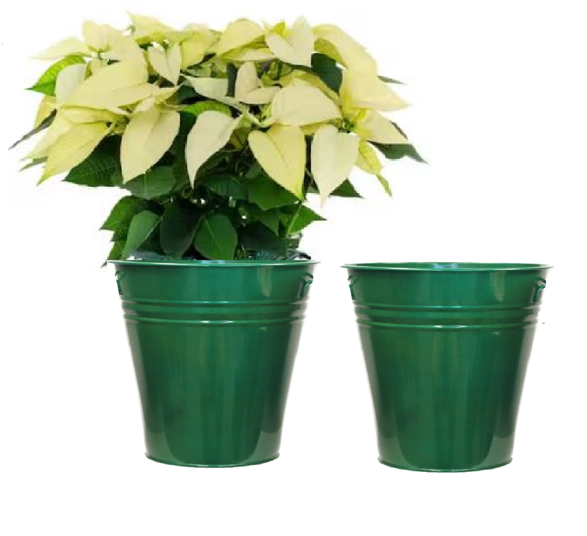 8136E.GG S/2 Enameled Galvanized Steel Planter for 6.5' Plants. Set of Two