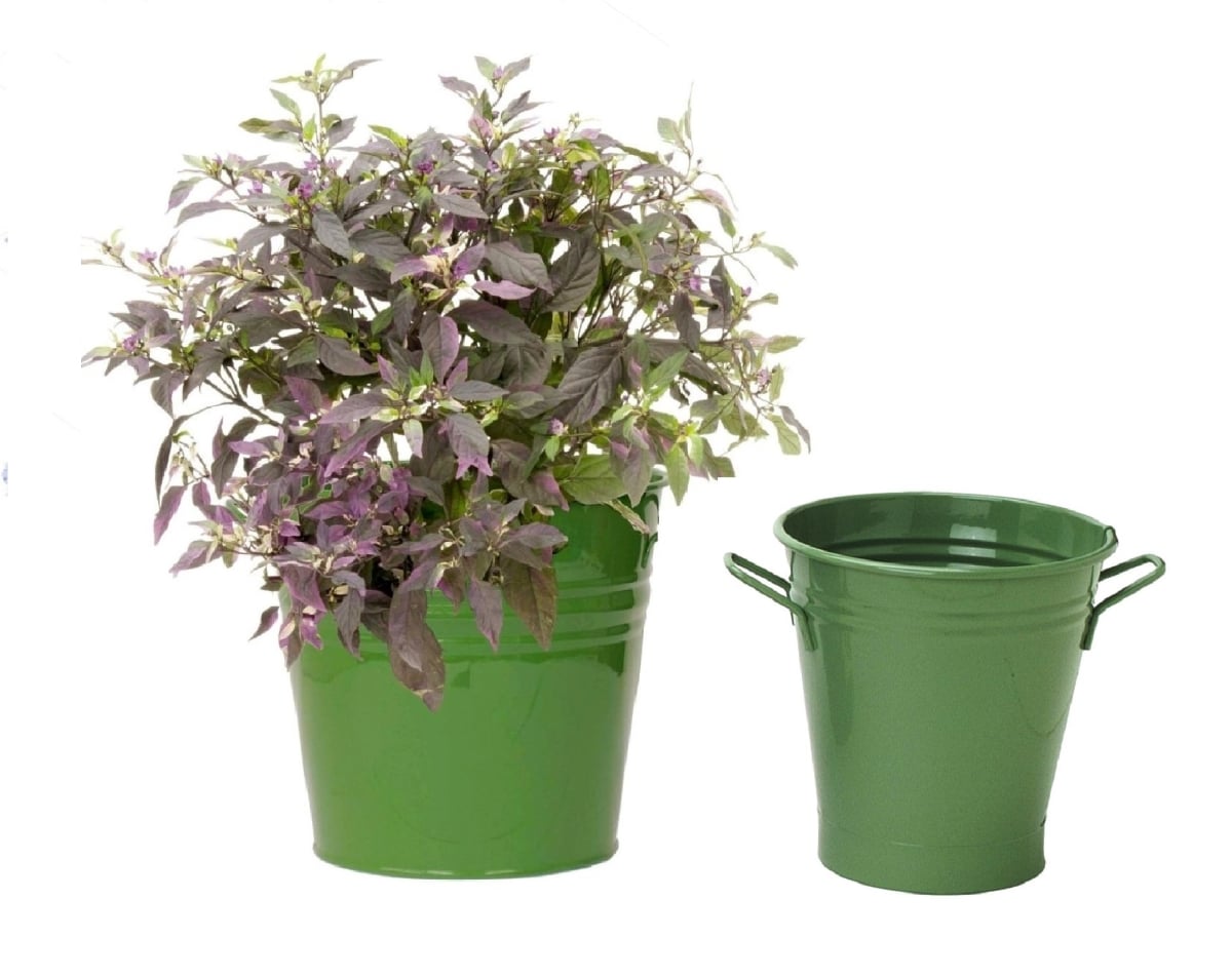 6051-8135E SA S/2 Enameled Galvanized Planter set for 6.5' and 8' plants.