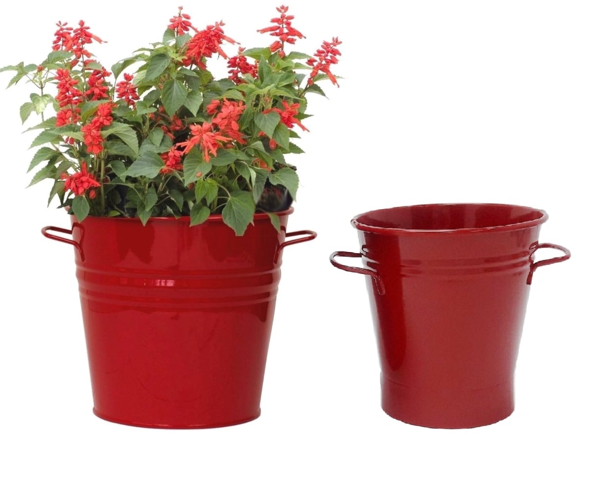 6051-8135E XR S/2 Enameled Galvanized Planter set for 6.5' and 8' plants.