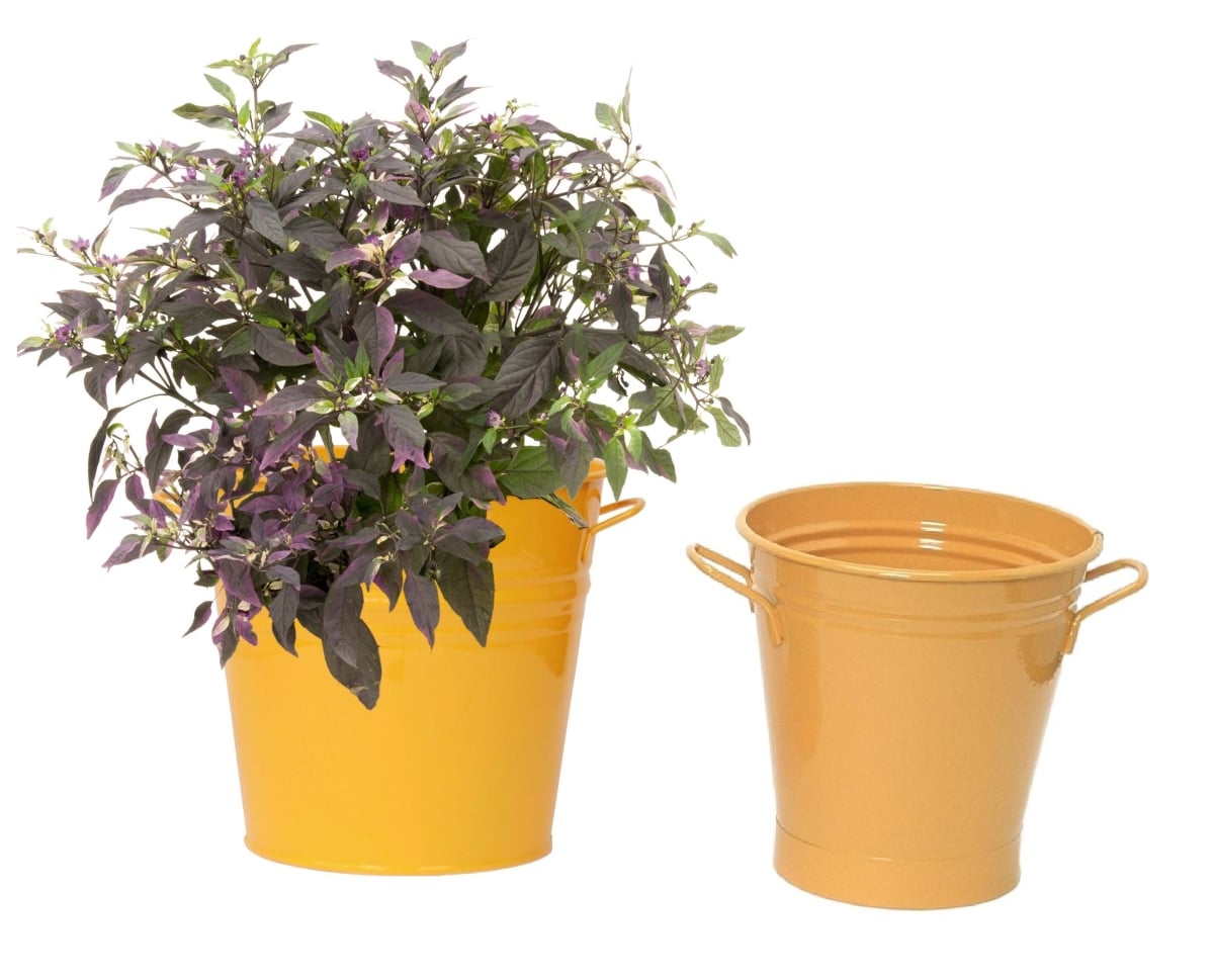 6051-8135E SAFF S/2 Enameled Galvanized Planter set for 6.5' and 8' plants.