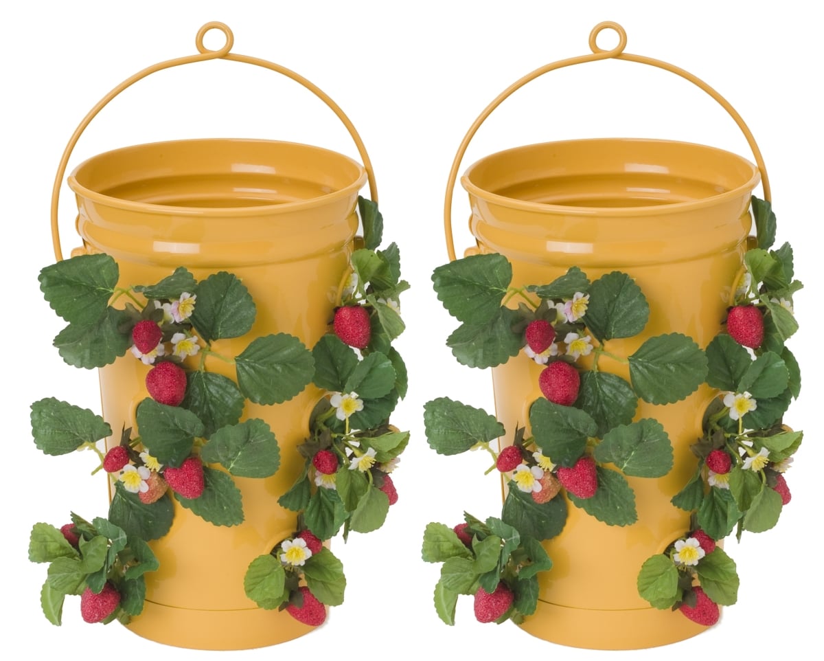 8491E SAFF S/2  Enameled Galvanized Strawberry, Flower Planter S/2 Saffron, 7'W x 13'H