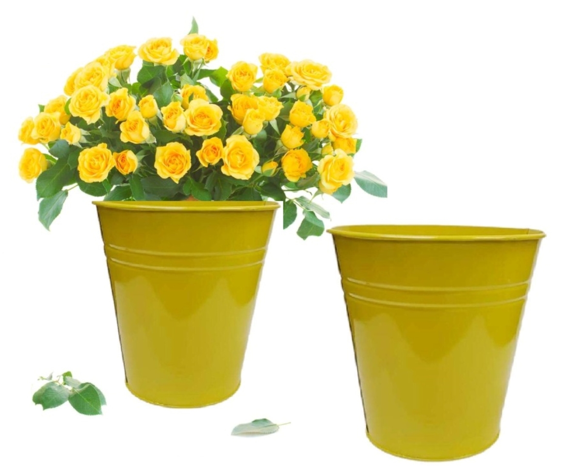 6052E LM S/2 Enameled Galvanized Steel Planter, Vase for 8' Plants. Set of Two. 6052E LM S/2