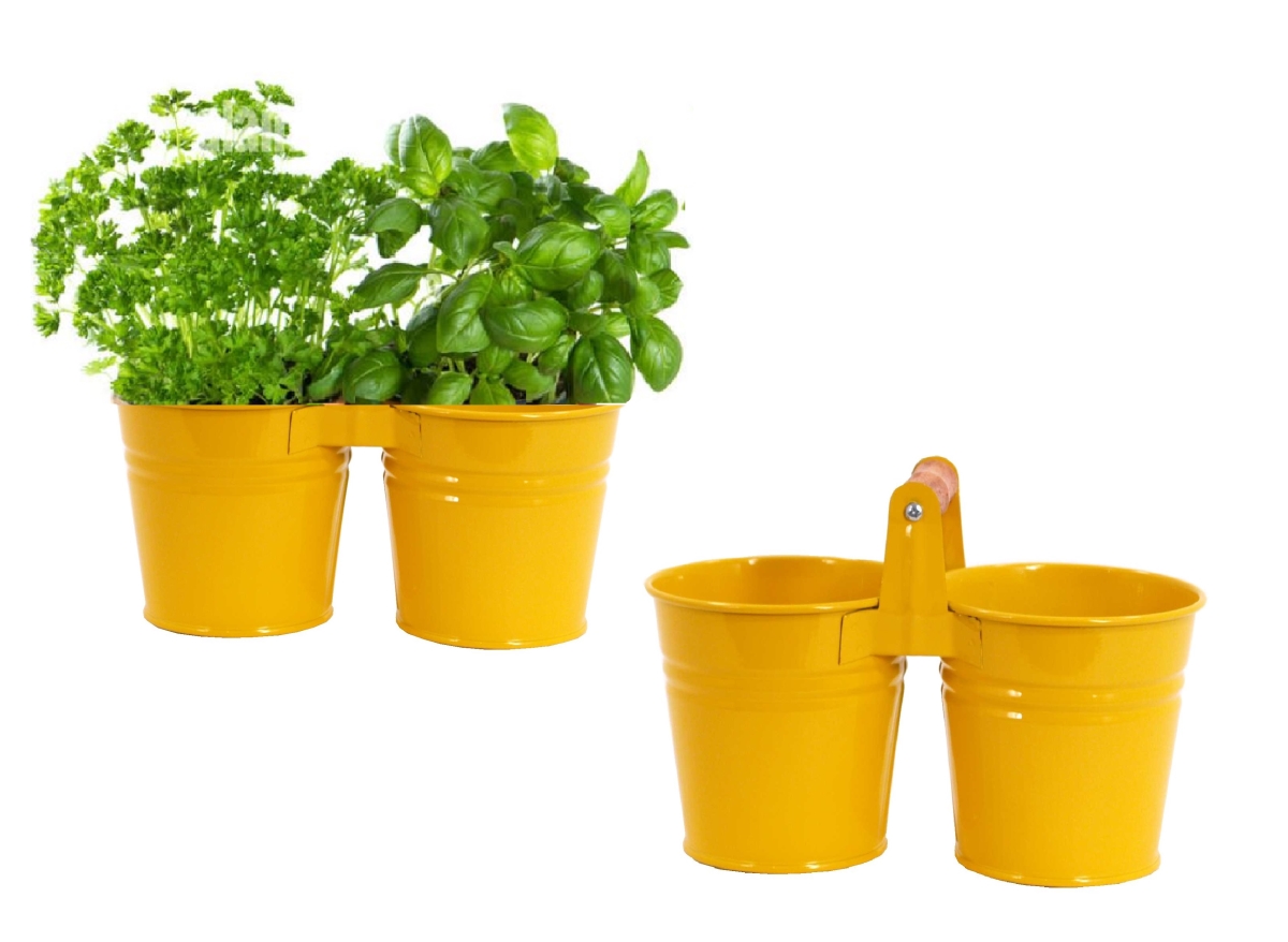 8122ESAFF-HERB Indoor Herb Garden Steel Planter, Set of Two. Saffron