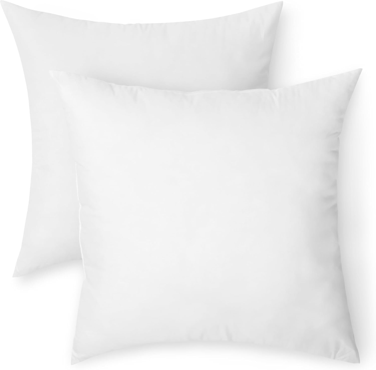 RH-1001-PLWINS S/2 Throw Pillows Inserts Vacuum Compressed Pillow Form Set of Two