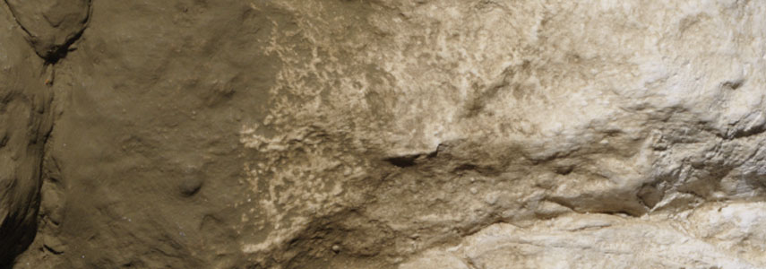 Earth Undercoat Ter Paint