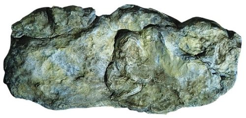 Washed Rock Mold