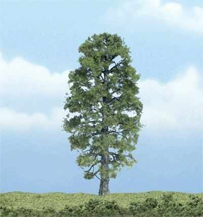WOO1618 4.5 in. Basswood Prem Trees