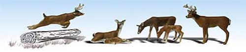 N Deer