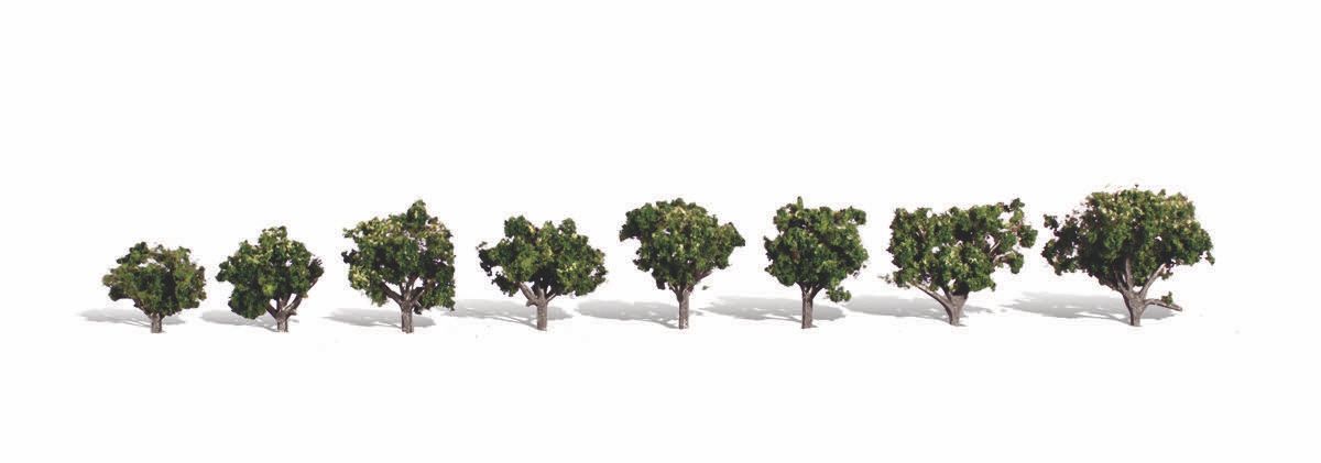 WOO3501 0.75-1.25 in. Sun Kissed Trees