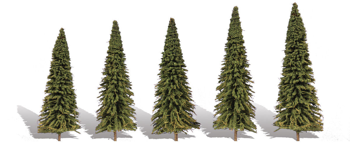 2.5-4 in. Forever Green Trees