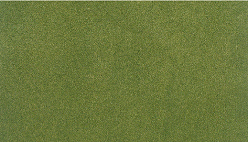 WOO5121 50 x 100 in. Spring Grass Mat