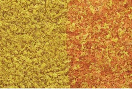 WOO55 Fall Foliage Early Fall Mix
