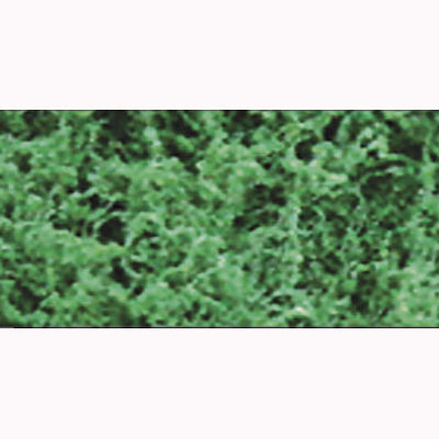 Coarse Dark Green Foliage
