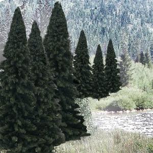2-4 In. Blend - Evergreen Pack Of 18