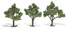 WOO1509 4 - 5 in Light Green Trees