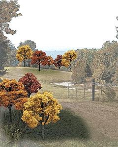 2-3 In.  Rm Fall Trees