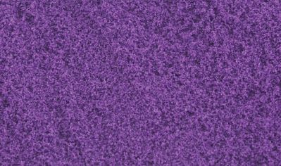 WOO4648  Pollen, Purple