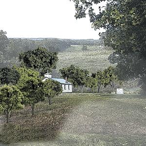 0.75-2 ft. RM Mixed Green Trees, 38 tree