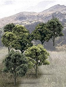 WOO1572 3-5 ft. RM Mixed Green Trees