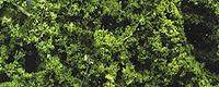 WOO1131 Fine Leaf Foliage - Medium Green