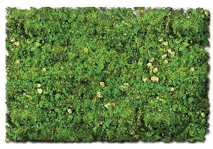 SEX885C 64 oz Forest Floor Blend