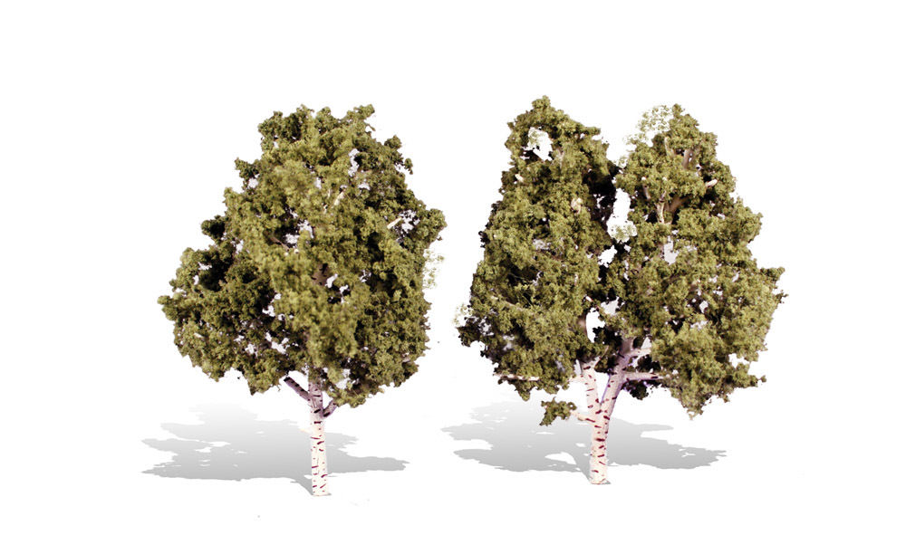 5 - 6 in. Waters Edge Trees