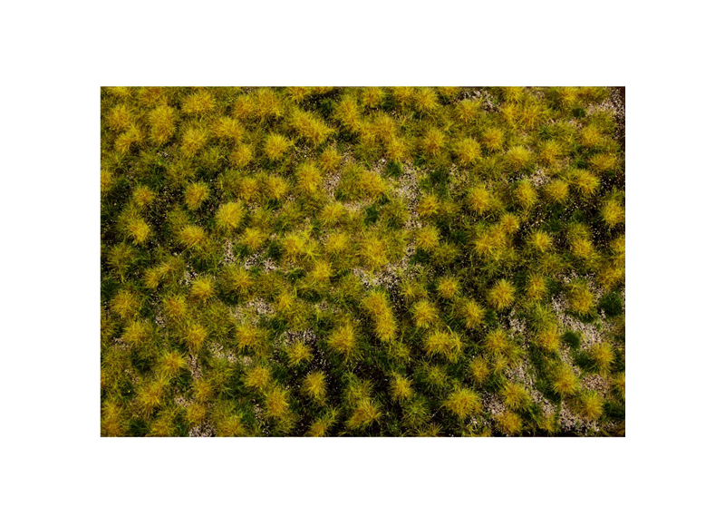 Picture of Bachmann BAC32925 11.75 x 7.5 in. Tufted Grass Dry Mat