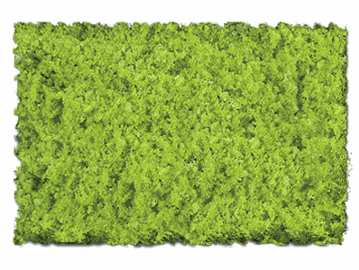32 oz Foams & Ground Textures Coarse - Light Green