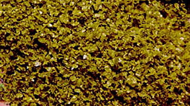16 oz Moss Green Superleaf Shaker