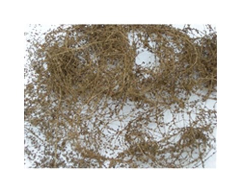 JTT95063 10G Dry Vines & Dead Foliage