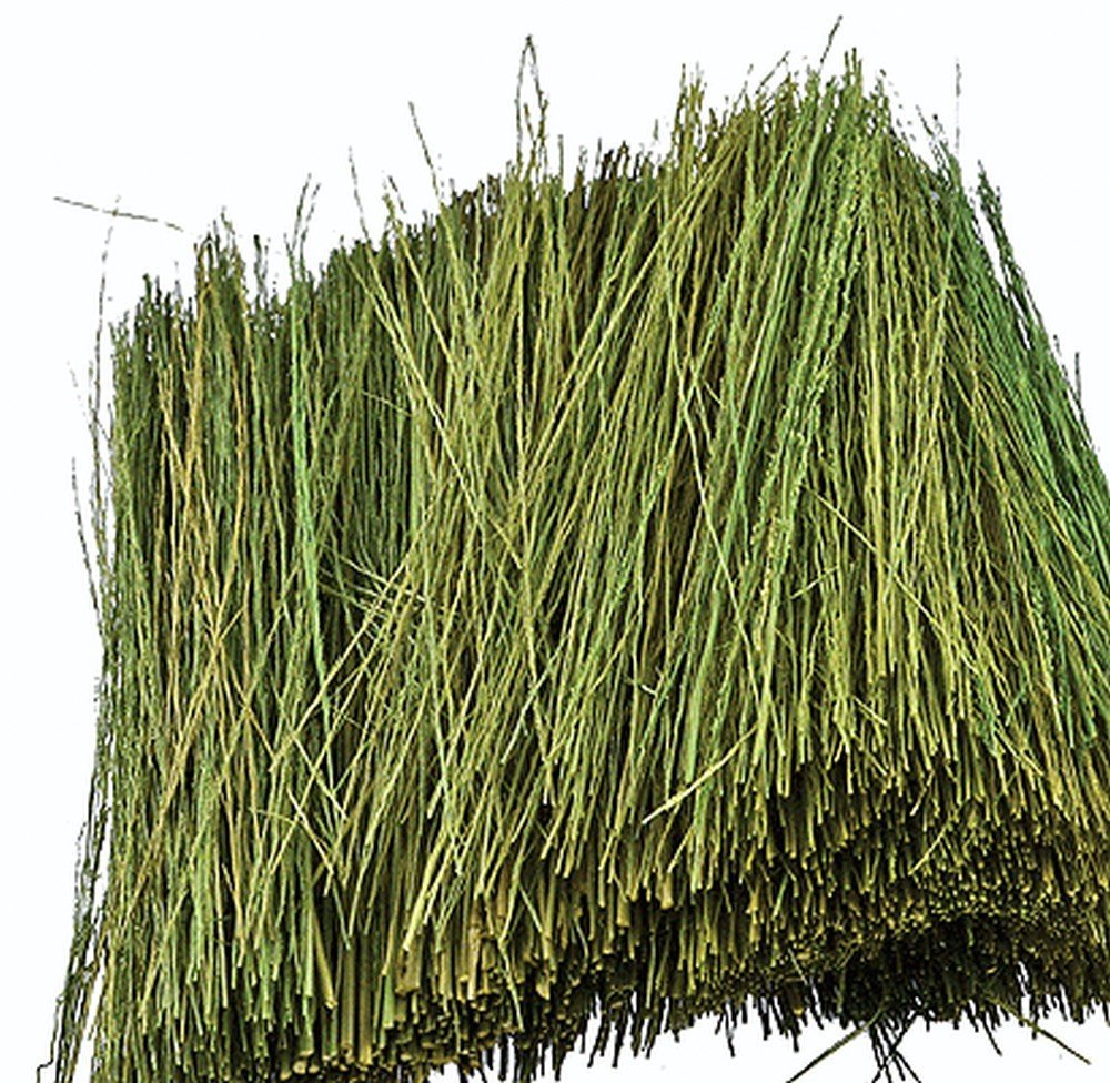 JTT95086 Light Green Field Grass