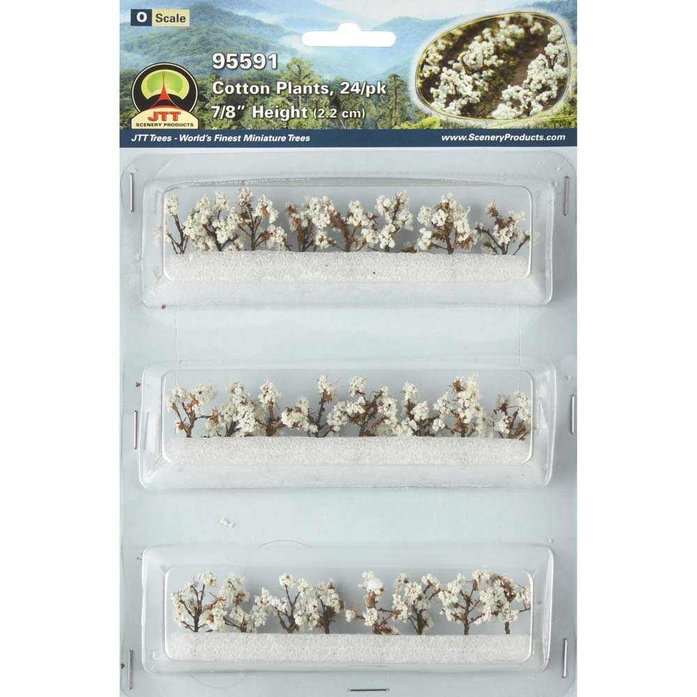 JTT95591 O - Scale Cotton Plants