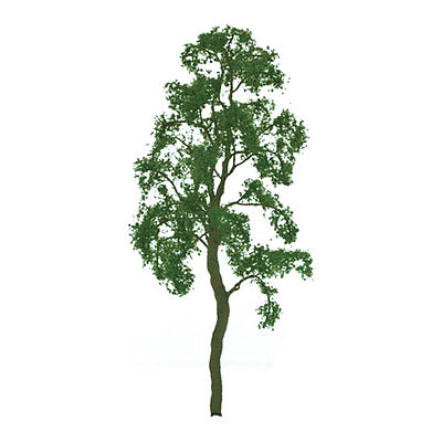 94414 1 in. Professional Series Birch Tree - Pack of 6