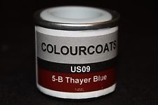 TCP1016 5-B Lung Cancer Panel, Thayer Blue