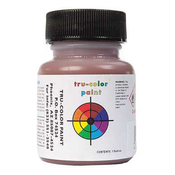 TCP865 Paint, Native American Flesh