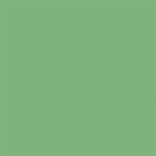 TCP424 Paint, Mint Green Stucco Matte