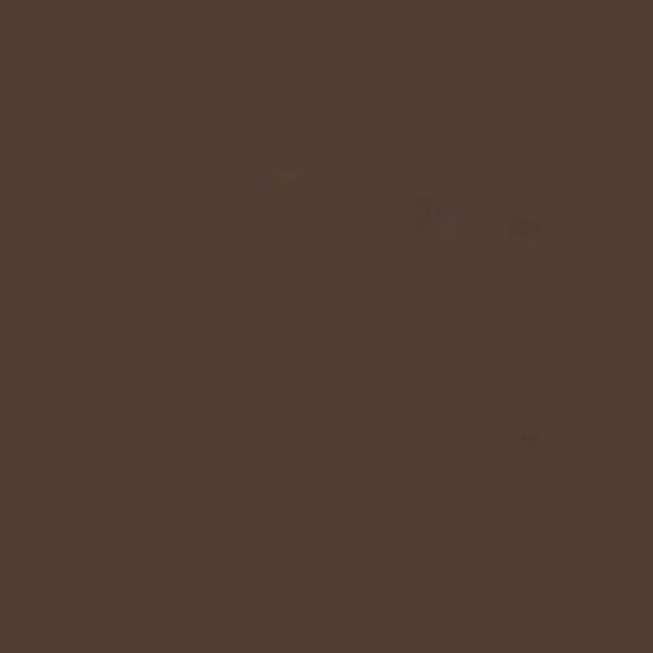 TCP437 Paint, Matte Light Brown Tree Bark