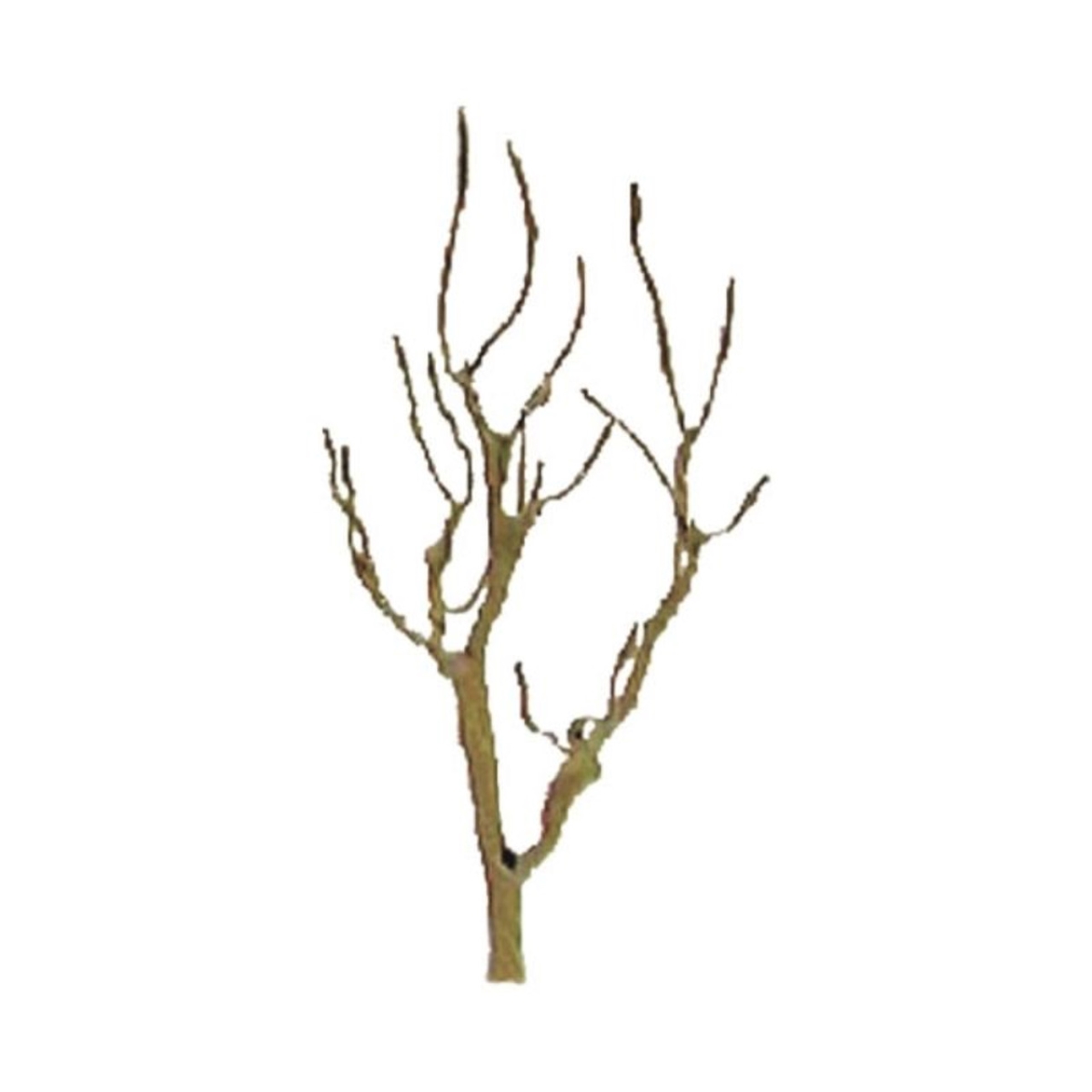 Picture of JTT Scenery JTT94104 1.5 in. Armature Mountain Gum - Pack of 6