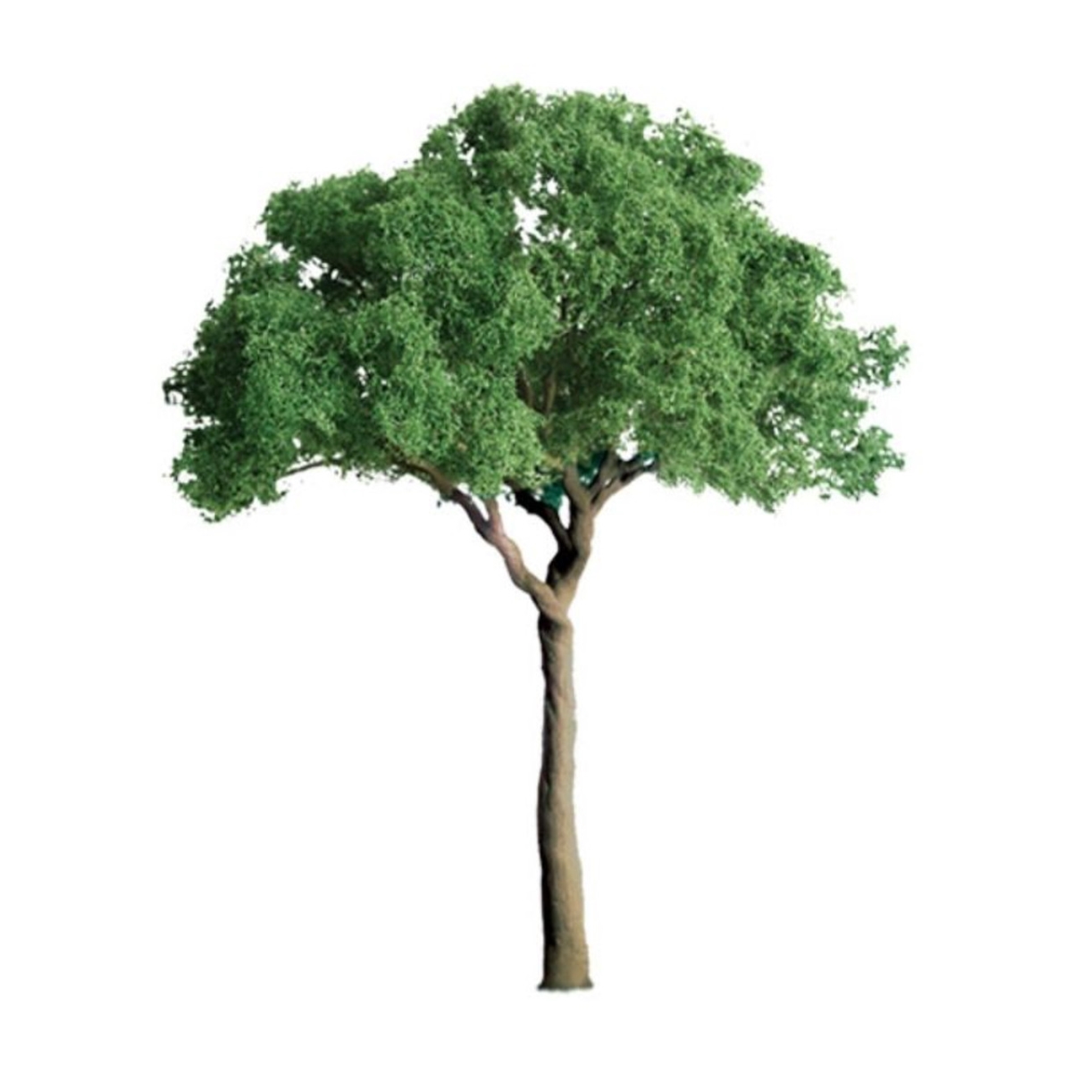 94285 1.5 in. Green Jacaranda Professional Tree - Pack of 4