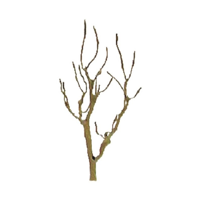 94105 2 in. N Scale Mountain Gum Professional Trees Pro Armature - 4 Piece