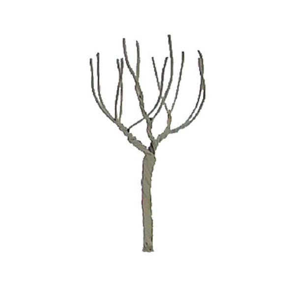 JTT94109 2.5 in. N Scale Pro Armature Model Round Head Tree - Pack of 4