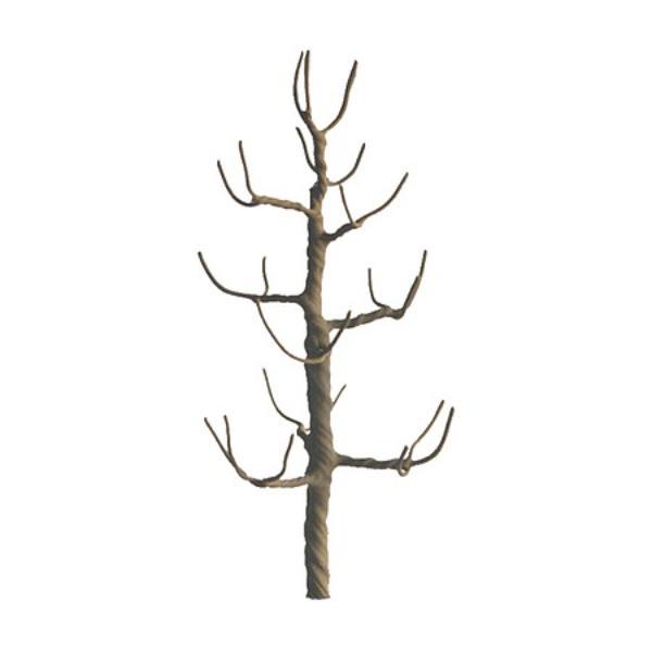 Picture of JTT Miniature Tree JTT94118 2.5 in. N Scale Pro Armature Model Sycamore Tree - Pack of 4