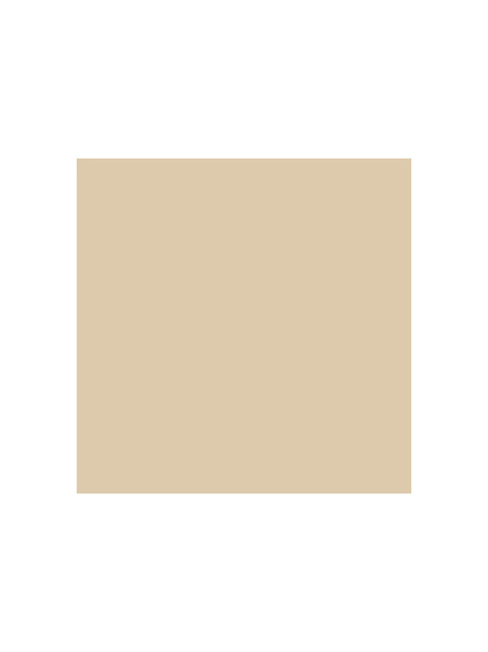 MMPW006 1 oz Hobby Acrylic Paint, Transparent Dust