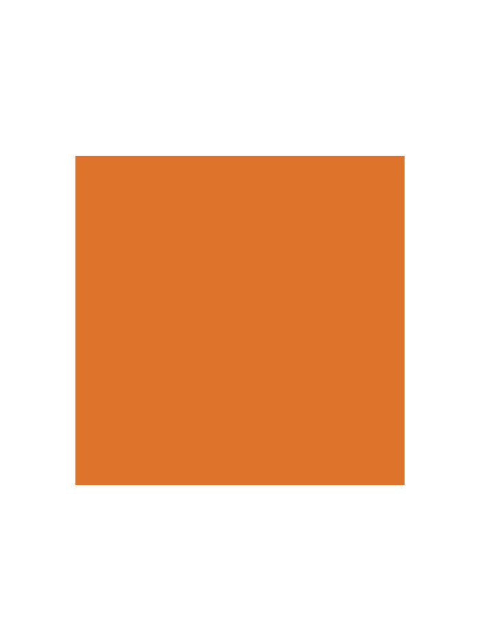 MMPW002 1 oz Water-Based Premium Acrylic Paint, Light Rust 1
