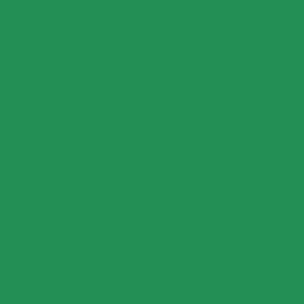 MMP144 30 ml Pearl Acrylic Primer Metallic Paint, Deep Green